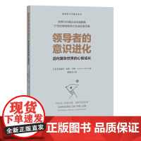 领导者的意识进化:迈向复杂世界的心智成长 珍妮弗·加维·贝格/ 北京师范大学出版社 正版书籍
