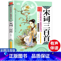 [正版]宋词三百首 彩图注音版 经典国学 中华传统文化经典国学丛书 全书138页