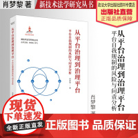法学著作 从平台治理到治理平台:平台自我规制的风险与问责分析 肖梦黎 著 新技术法学研究丛书 中国政法大学出版社