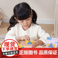 木玩世家空间平视积木益智积木大颗粒立体思维训练3岁4幼儿园玩具