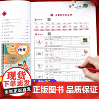 三年级上册练字帖语文同步字帖人教版每日一练 小学三年级字帖练字小学生专用3年级练字帖钢笔字帖练字专用带笔画笔顺描红硬笔书