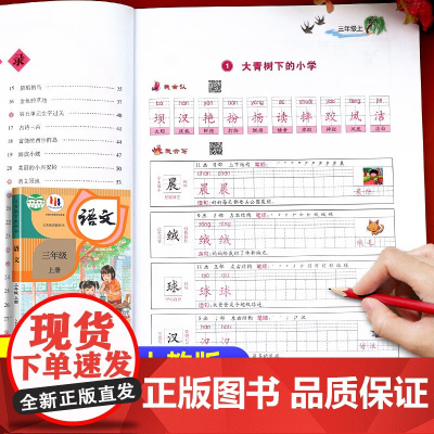 三年级上册练字帖语文同步字帖人教版每日一练 小学三年级字帖练字小学生专用3年级练字帖钢笔字帖练字专用带笔画笔顺描红硬笔书