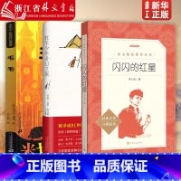 毛毛+牧羊少年奇幻之旅+闪闪的红星 [正版]毛毛 书籍米切尔·恩德作品典藏 毛毛书籍时间窃贼和一个小女孩的不可思议的故事