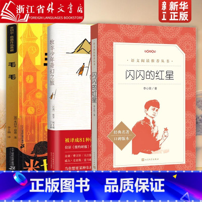 毛毛+牧羊少年奇幻之旅+闪闪的红星 [正版]毛毛 书籍米切尔·恩德作品典藏 毛毛书籍时间窃贼和一个小女孩的不可思议的故事