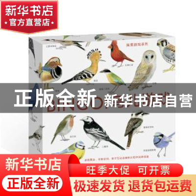 正版 BINGO!鸟儿游戏 (英)麦克·昂温文 北京联合出版公司 978755