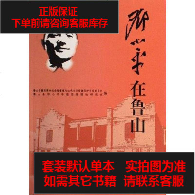 二手8成新-邓在鲁山9787507325621