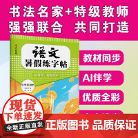 语文暑假练字帖 小学升初中 姜浩 著 吴庆芳 编 中学教辅文教 正版图书籍 湖北美术出版社