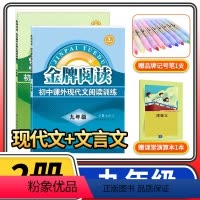 [正版]金牌阅读九年级初中课外文言文现代文能力型阅读指导与训练精选初三9年级中学生阅读2册 初中语文现代文和文言文阅读
