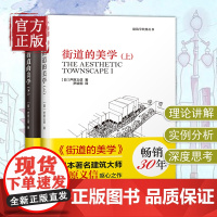 街道的美学 上下全套2册 建筑与规划建筑设计书籍 文化象征精品设计 外部空间街道景观住宅日本建筑学 城市规划公共建筑外观