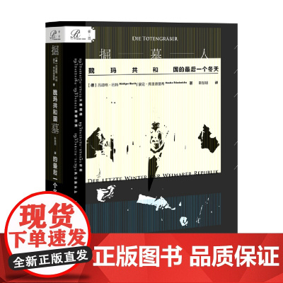 掘墓人魏玛共和国的最后一个冬天 吕迪格·巴特 著 历史