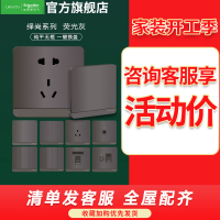 [官方旗舰店]施耐德电气开关插座绎尚荧光色北欧风86型大面板家用墙壁式10A五孔一开双控弱电空调USB电源插座