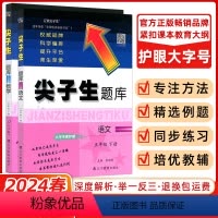 [正版]2024春 尖子生题库五年级语文数学下册人教版小学生同步提分题库5年级教辅R版 辽宁教育出版社 课外同步辅导