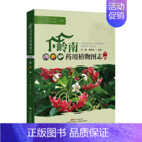 [正版]岭南药用植物图志 下册 药用植物分类与鉴定 中药资源 道地药材 中药学 中医学 本草学 民族药学 中草药爱好者