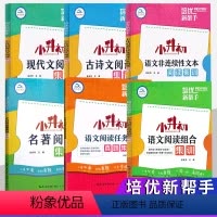 全套6本[小升初语文阅读集训] 小学升初中 [正版]2024培优新帮手小升初语文阅读组合集训现代文古诗文非连续性文本阅读