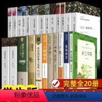[全20册]高中课外书籍 [正版]全套20册 高中生课外阅读书籍必 乡土中国红楼梦巴黎圣母院大卫科波菲尔 复活 老人与海