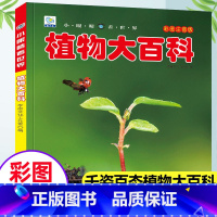 [植物]大百科(3本39元,更划算) [正版]植物大百科注音版小眼睛看世界小学生一二三年级课外阅读书籍儿童科普百科全