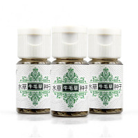 牛毛水种子鱼缸真装饰造景莫斯懒人净化水质水族箱水生植物