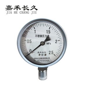 嘉禾长久 不锈钢耐温压力表检测型 Y100BF 块