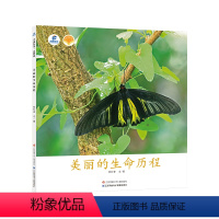 《美丽的生命历程》 [正版]东方娃娃科普绘本《美丽的生命历程》幼儿园中班大班读物儿童阅读3-8岁亲子阅读科普知识绘本