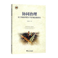 音像协同治理 长三角城市群大气环境改善研究刘晓斌