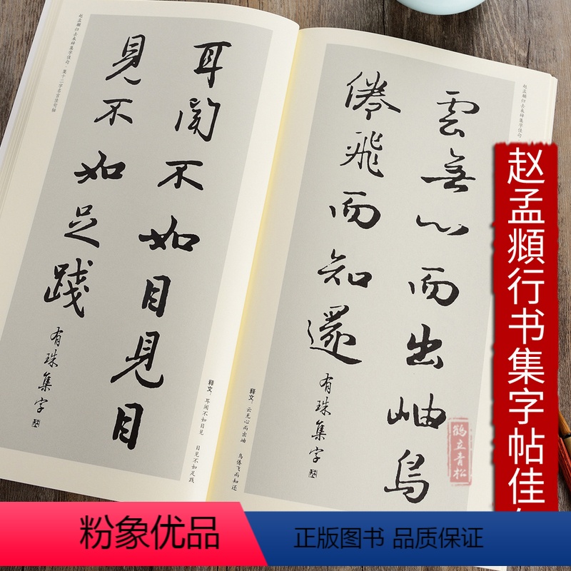 [正版]赵孟頫归去来辞集字佳句行书毛笔书法临摹作品毛笔字帖 临帖练字创作范本