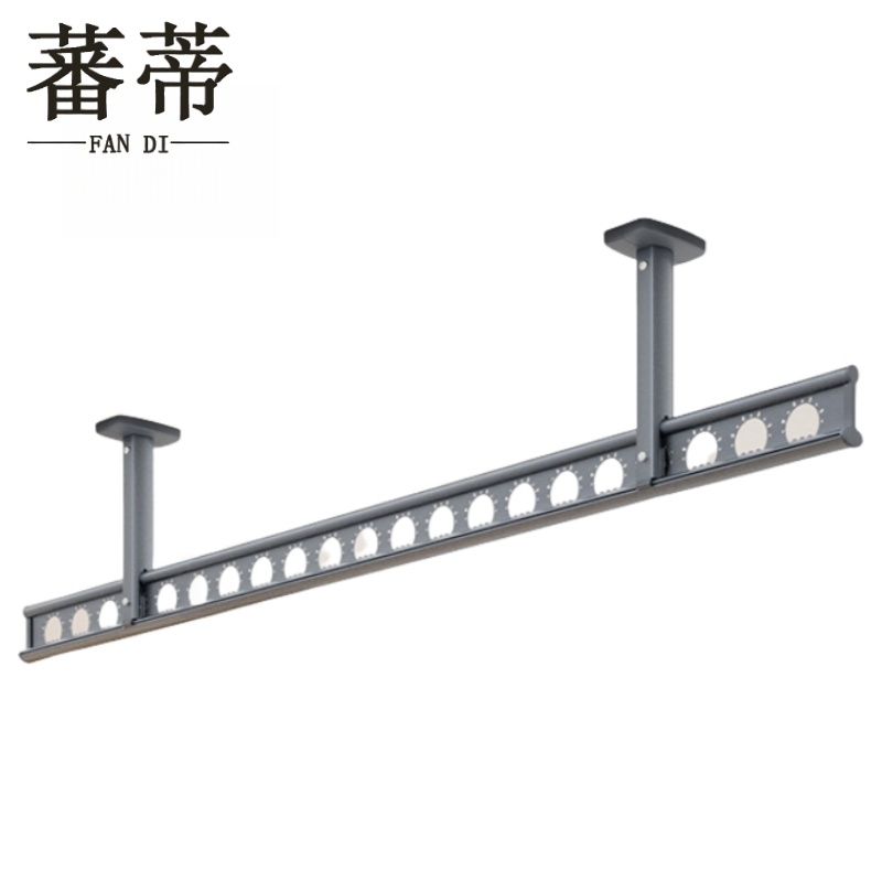 蕃蒂
