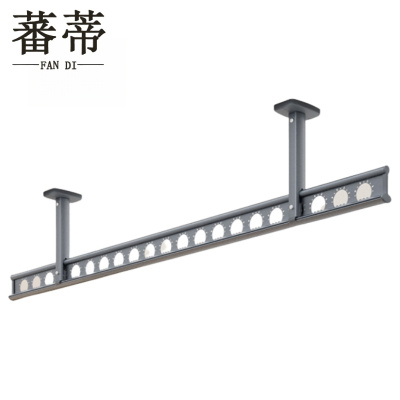 蕃蒂