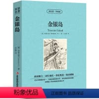 金银岛 [正版]中英双语傲慢与偏见书中英文双语名著读物英汉对照互译英语完整版小说奥斯丁原著读名著学英语高中生初中生课外阅