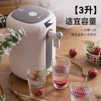 小熊(Bear)电热水瓶电热水壶烧水壶家用3L饮水机304不锈钢多段控温3L
