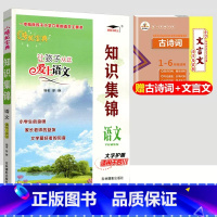 知识集锦[语文] 小学通用 [正版]2022小学语文知识集锦四川专版数学英语小学生三四五六年级小升初阅读训练上下册培优宝