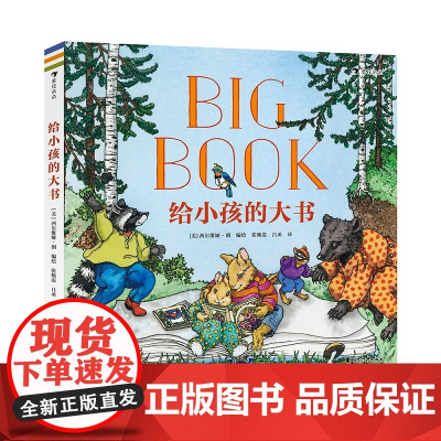 给小孩的大书 3-6岁 西尔维娅·朗 著 儿童绘本