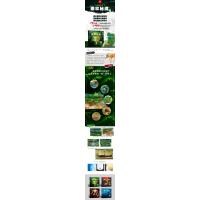 [诺森正版]3d雨林立体书 儿童科普3d自然世界系列大探秘热带动物趣味翻翻震撼大场景揭秘雨林动物 幼E25932