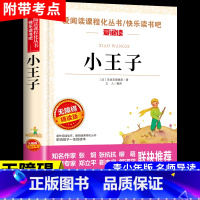 小王子 名师点评版 [正版]小王子 书籍 名师导读 带批注无障碍精读版 三年级四五年级六年级上册下册圣埃克苏佩里著立人