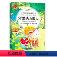 洋葱头历险记 [正版]注音版6册稻草人书小鹿斑比兔子坡爱丽丝全集彩图一年级课外阅读必读书二年级三年级课外书必读小学生儿童