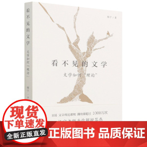 看不见的文学(文学如何理论)