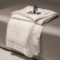 轻奢超细旦冷凝天丝夏被100桑蚕丝被子夏凉被冰丝滑空调被芯