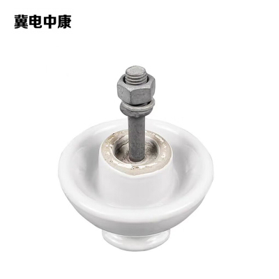 冀电中康 针式瓷瓶子 P-20 个