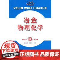 冶金物理化学 董元篪 著 冶金工业专业科技 正版图书籍 合肥工业大学出版社