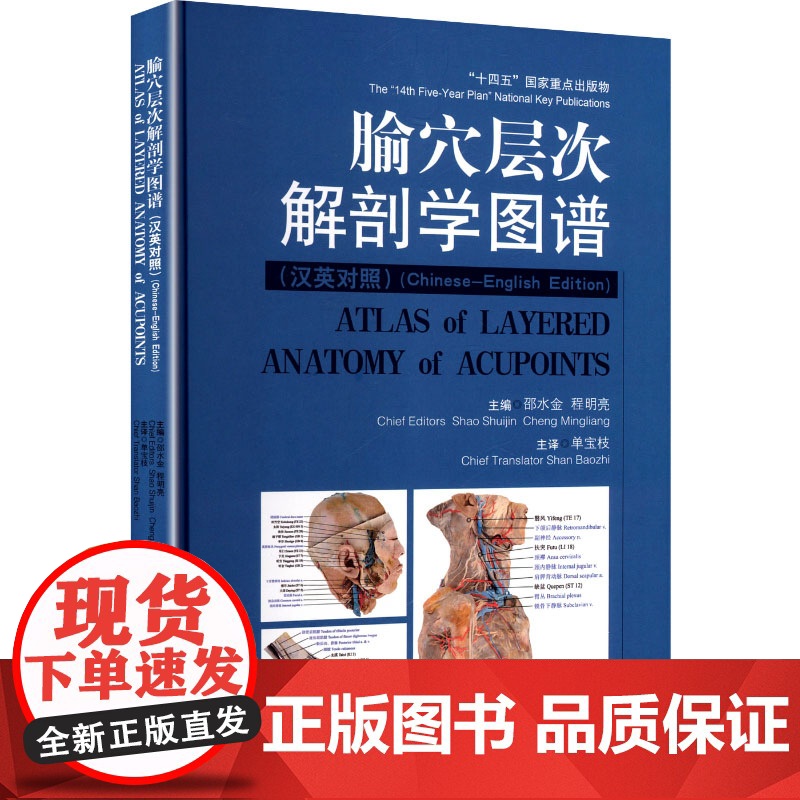腧穴层次解剖学图谱(汉英对照) 邵水金,程明亮 编 单宝枝 译 中医生活 正版图书籍 中国中医药出版社