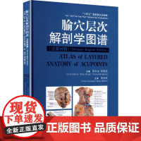 腧穴层次解剖学图谱(汉英对照) 邵水金,程明亮 编 单宝枝 译 中医生活 正版图书籍 中国中医药出版社