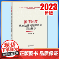 2023新书 担保制度热点法律问题分析与风险提示 竺飞雄等著 法律出版社