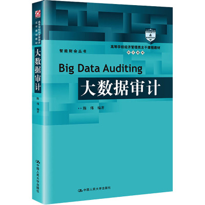 大数据审计(高等学校经济管理类主干课程教材)/审计系列/智能财会丛书