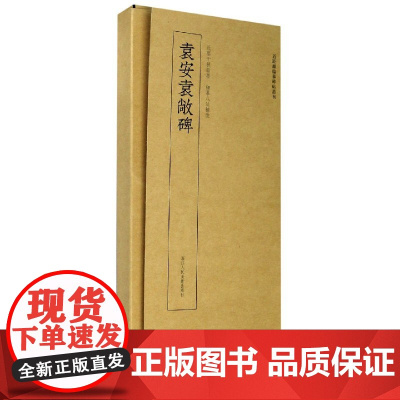 袁安袁敞碑/近距离临摹碑帖丛刊 篆书毛笔书法字帖临摹卡片原碑拓印全文书法临摹练字帖浙江人民美术出版社