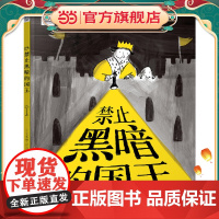 星空世界精选图画书 “亲近黑暗”系列绘本 禁止黑暗的国王