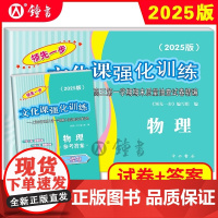 2025年版上海高考一模卷 物理 试卷+答案 领先一步文化课强化训练一模卷 上海市各区高三期末质量抽查高中模拟试卷
