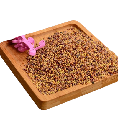 诚智旺 三叶草种子 1kg/袋