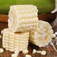 [西沛生鲜]福建牛奶玉米 净重3斤装 单根220g+ 箱装 香甜可口 时令蔬菜