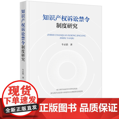 2024新书 知识产权诉讼禁令制度研究 牛正浩 著 法律出版社