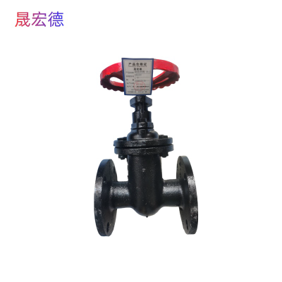 晟宏德 铸铁闸阀 法兰 DN100 个