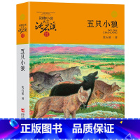 五只小狼 [正版]书店五只小狼 升级版 动物小说大王沈石溪品藏书系 小学三四五六年级课外阅读书籍动物小说 浙江少年儿童出